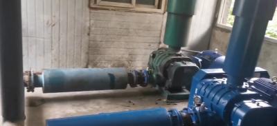 污水處理廠羅茨車(chē)鼓風(fēng)機(jī)